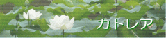 JgA