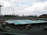 TCNA[i
