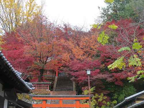 瑜伽神社