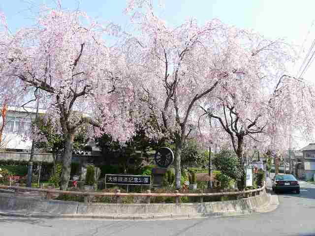 しだれ桜の大仏駅