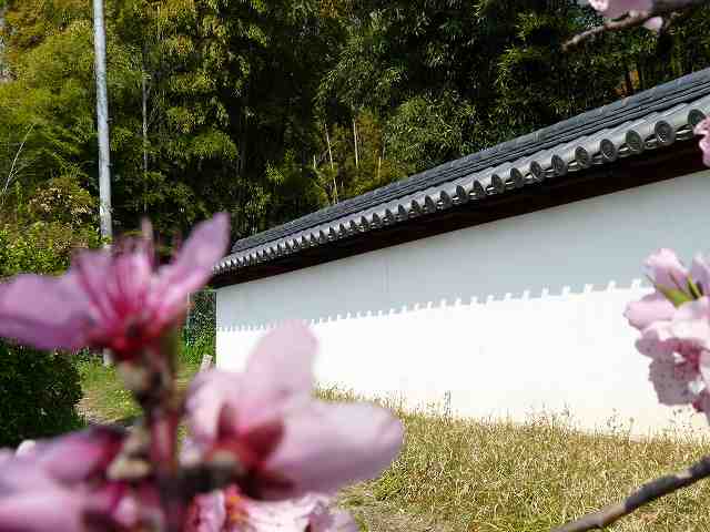 興福院 白壁